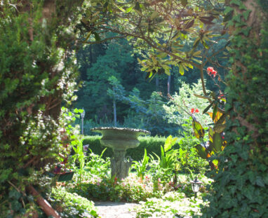 View More: http://jamiedphotography.pass.us/laurel-inn-the-hollow