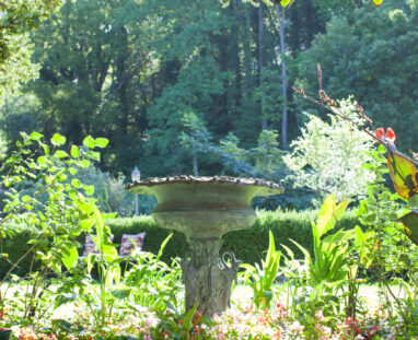 View More: http://jamiedphotography.pass.us/laurel-inn-the-hollow