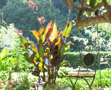 View More: http://jamiedphotography.pass.us/laurel-inn-the-hollow