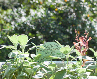 View More: http://jamiedphotography.pass.us/laurel-inn-the-hollow