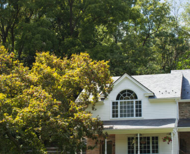 View More: http://jamiedphotography.pass.us/laurel-inn-the-hollow