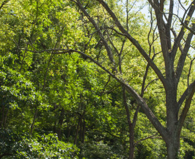 View More: http://jamiedphotography.pass.us/laurel-inn-the-hollow