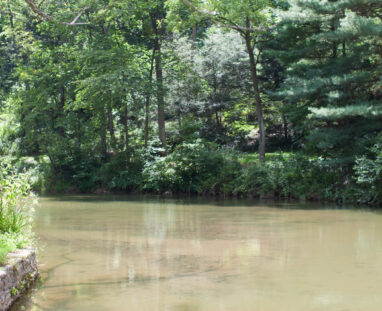 View More: http://jamiedphotography.pass.us/laurel-inn-the-hollow