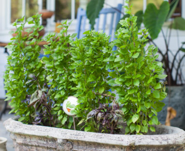 View More: http://jamiedphotography.pass.us/laurel-inn-the-hollow