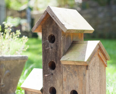 View More: http://jamiedphotography.pass.us/laurel-inn-the-hollow