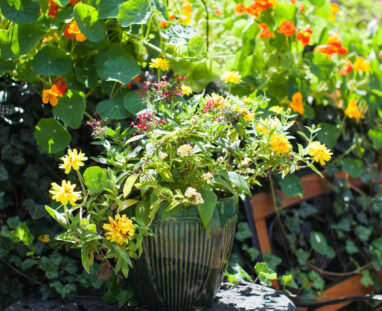 View More: http://jamiedphotography.pass.us/laurel-inn-the-hollow