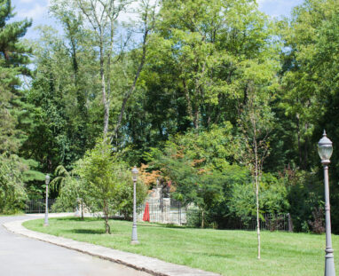 View More: http://jamiedphotography.pass.us/laurel-inn-the-hollow