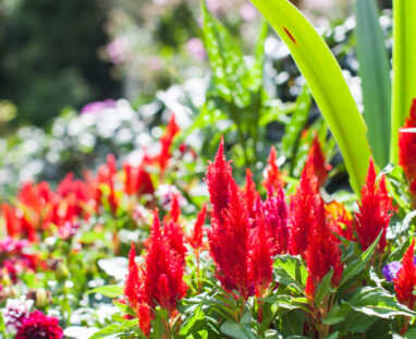 View More: http://jamiedphotography.pass.us/laurel-inn-the-hollow