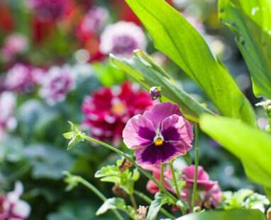 View More: http://jamiedphotography.pass.us/laurel-inn-the-hollow