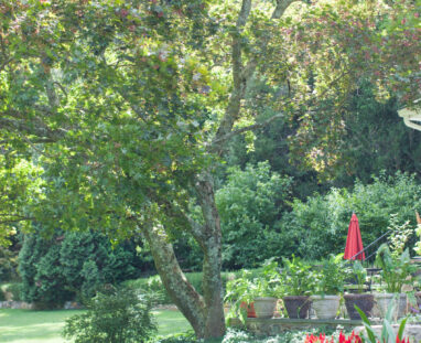 View More: http://jamiedphotography.pass.us/laurel-inn-the-hollow