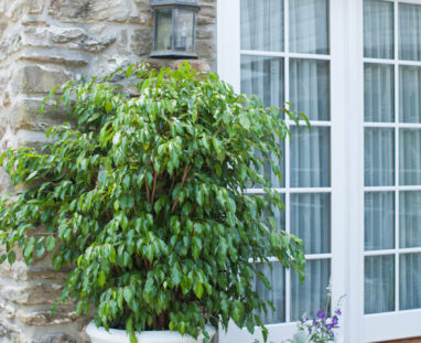 View More: http://jamiedphotography.pass.us/laurel-inn-the-hollow