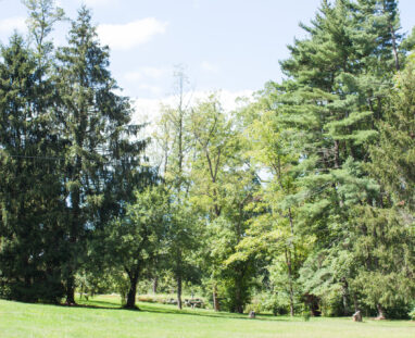 View More: http://jamiedphotography.pass.us/laurel-inn-the-hollow