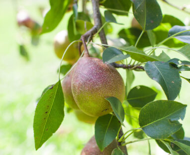 View More: http://jamiedphotography.pass.us/laurel-inn-the-hollow