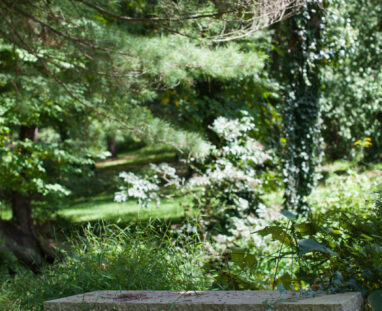 View More: http://jamiedphotography.pass.us/laurel-inn-the-hollow