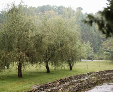 FB_IMG_1764952800668