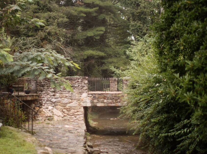 FB_IMG_1764952829426