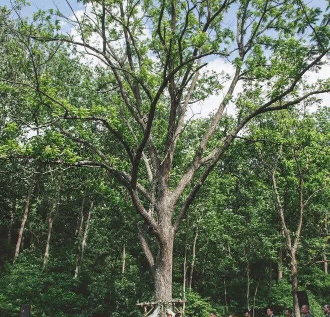 FB_IMG_1765016046477