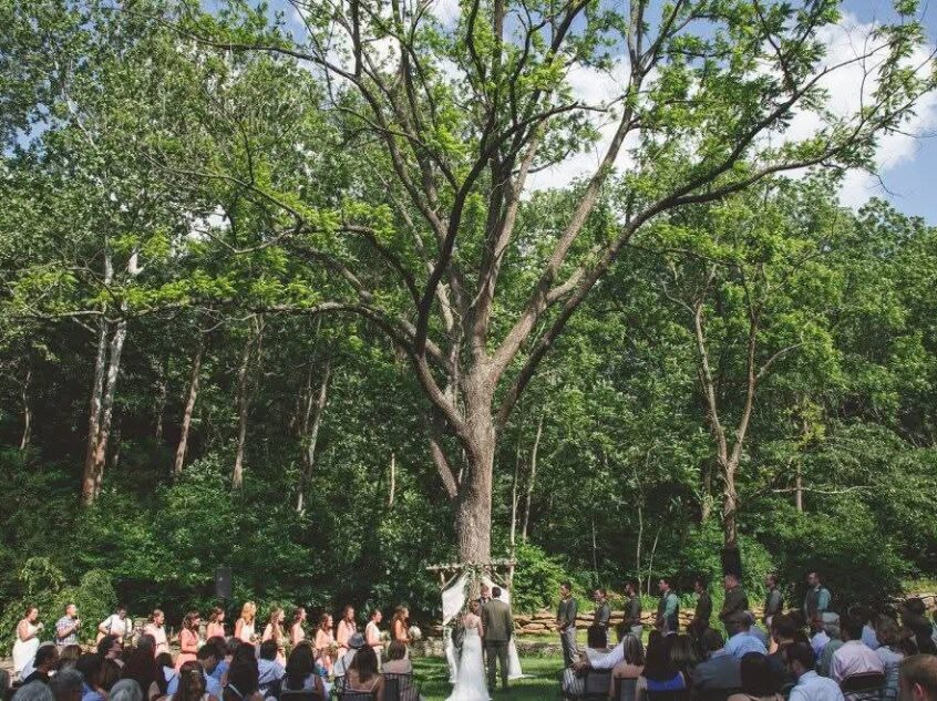 FB_IMG_1765016048996