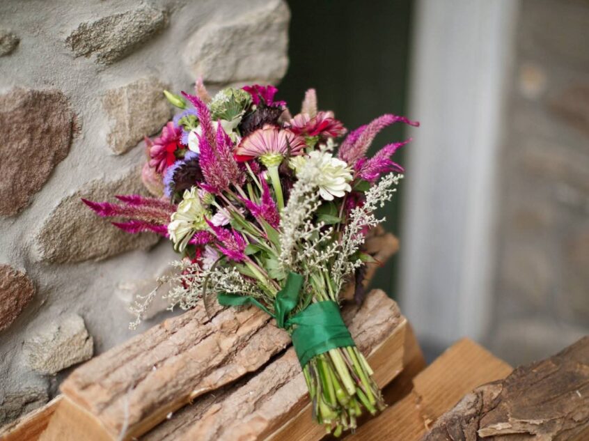 FB_IMG_1764952827174