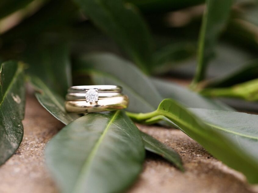 FB_IMG_1764952897246