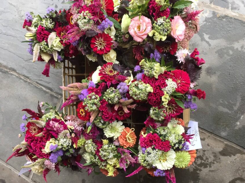 FB_IMG_1765133818839