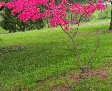 Screenshot_20260102_122137_Photos