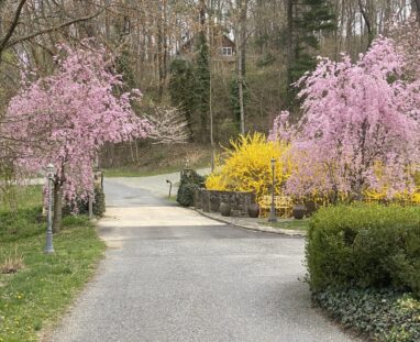 FCM B&B and Event Venue Main Bridge & Estate Entrance Drive View