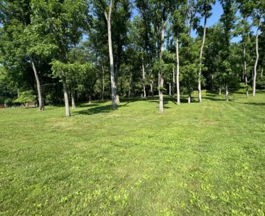 FCM-Farm Property Rear Lawn & Gathering Space