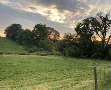 French Country Manor Estate-Pasture & Meadow