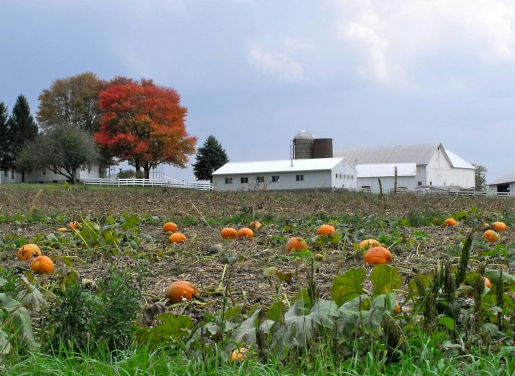 brad-weaver-0yM9O3huE-o-unsplash