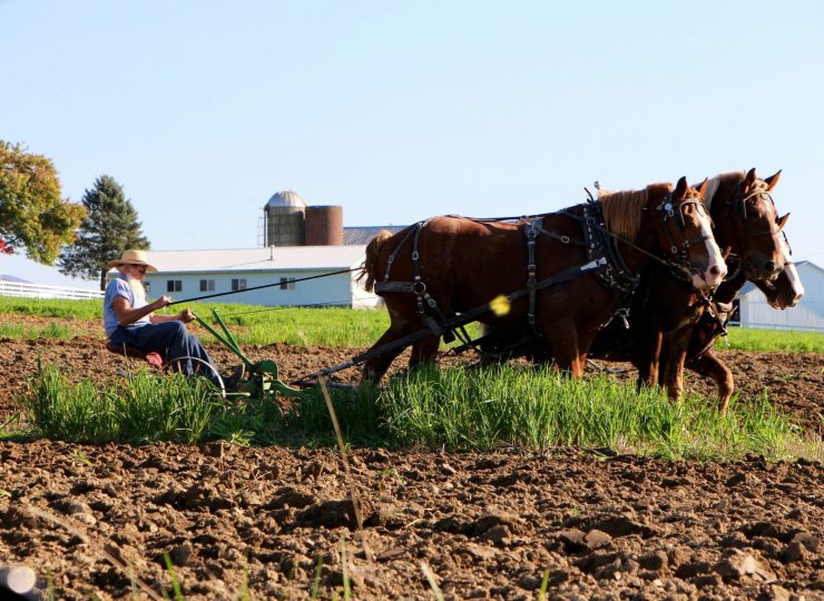 brad-weaver-2kNgEkvgX1I-unsplash