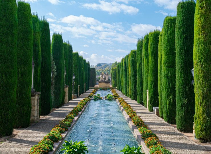 girl-with-red-hat-oXfqLmJMQcQ-unsplash