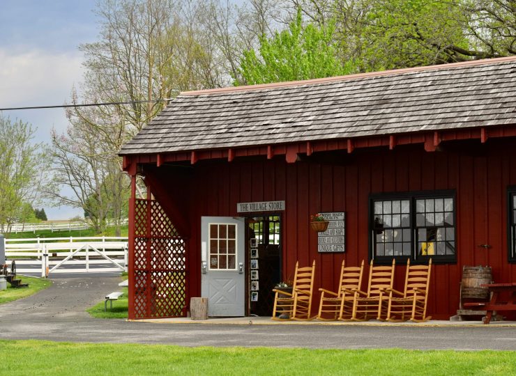 praswin-prakashan-OY-wKTzolYg-unsplash