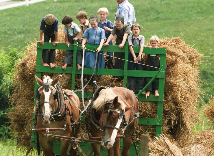 randy-fath-JRcRl8AvLYY-unsplash