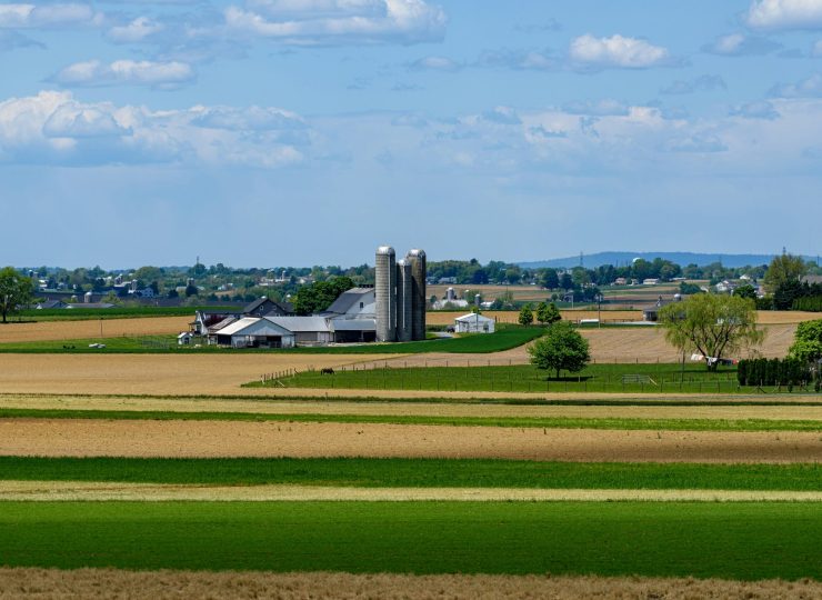 steve-adams-3bkIBrsmF00-unsplash